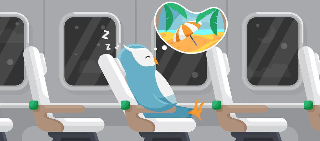 How To Sleep On A Plane & Land Feeling Refreshed